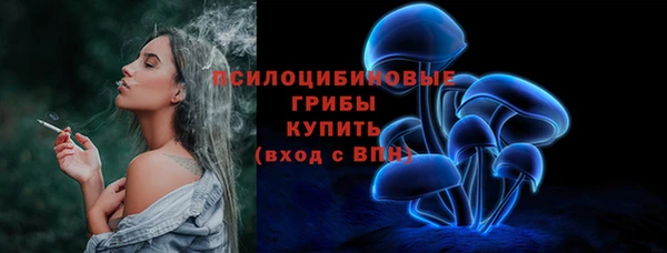 ГАЛЛЮЦИНОГЕННЫЕ ГРИБЫ Алексин