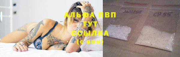 стаф Сатка