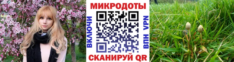 Псилоцибиновые грибы MAGIC MUSHROOMS  Пущино 