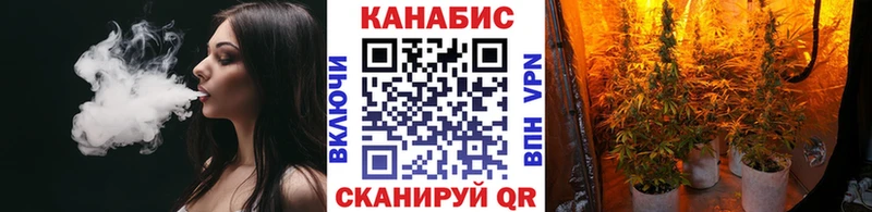 blacksprut онион  Пущино  Конопля сатива 